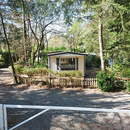 Chalet In 'boshuisje Dennenrust'