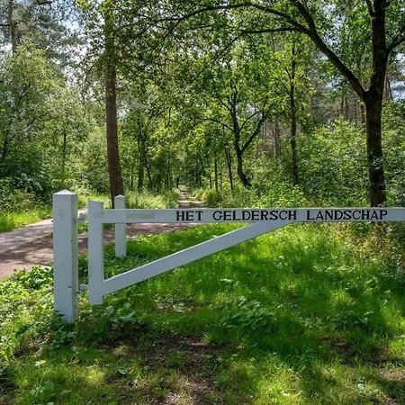 Chalet In 'boshuisje Dennenrust' Hattemerbroek