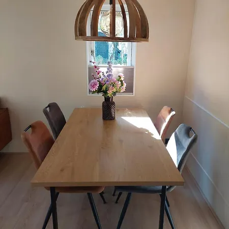 In 'boshuisje Dennenrust' Hattemerbroek