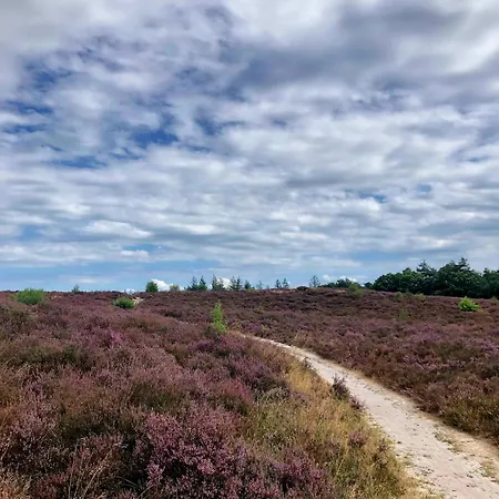 Alpehytte In 'boshuisje Dennenrust'