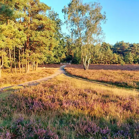 In 'boshuisje Dennenrust'