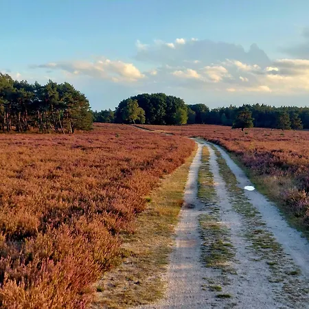 Alpehytte In 'boshuisje Dennenrust' Hattemerbroek