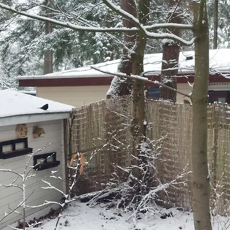 Chalet In 'boshuisje Dennenrust'