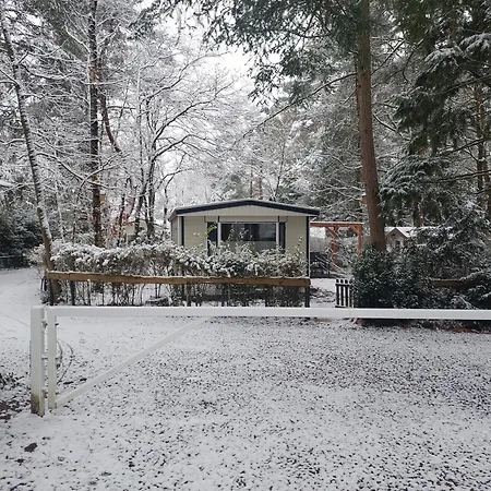 In 'boshuisje Dennenrust' Chalet *