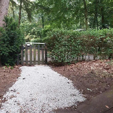 In 'boshuisje Dennenrust' * Hattemerbroek