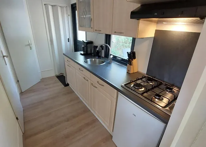 In 'boshuisje Dennenrust' Chalet Hattemerbroek