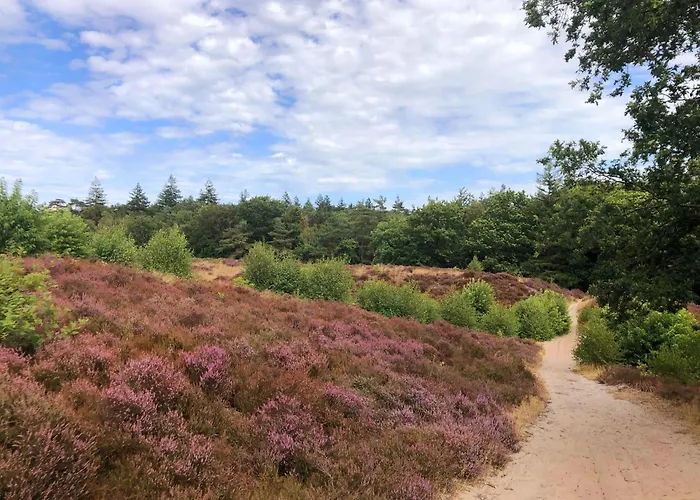 In 'boshuisje Dennenrust' * Hattemerbroek