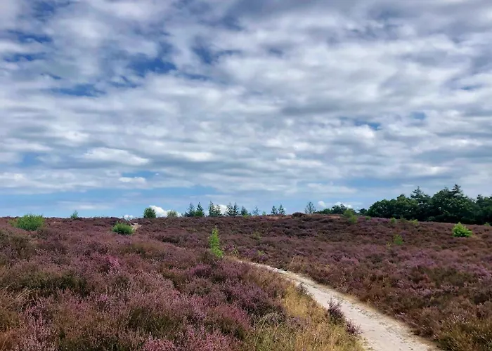 Chalet In 'boshuisje Dennenrust'