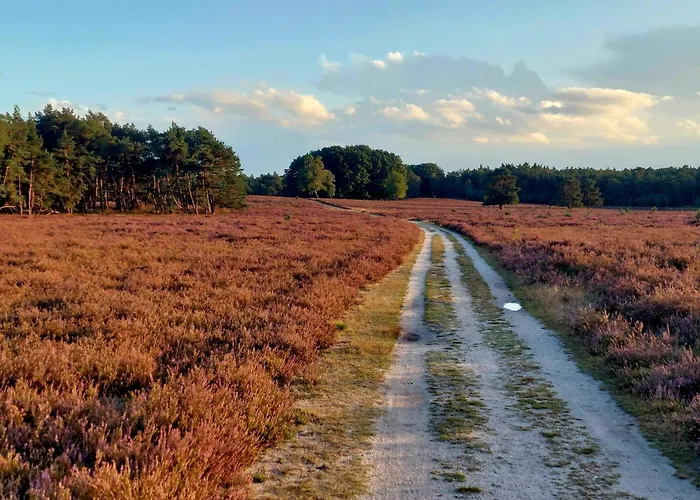 Chalet In 'boshuisje Dennenrust' Hattemerbroek