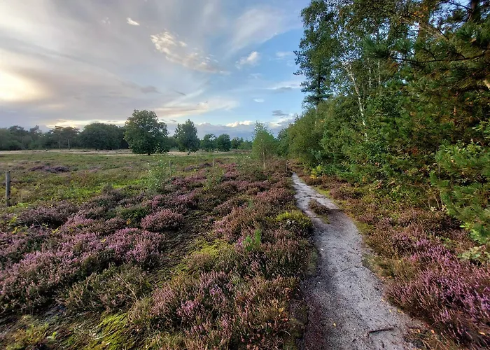 In 'boshuisje Dennenrust' *