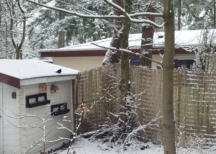 Chalet In 'boshuisje Dennenrust'