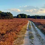 Chalet In 'boshuisje Dennenrust' Hattemerbroek